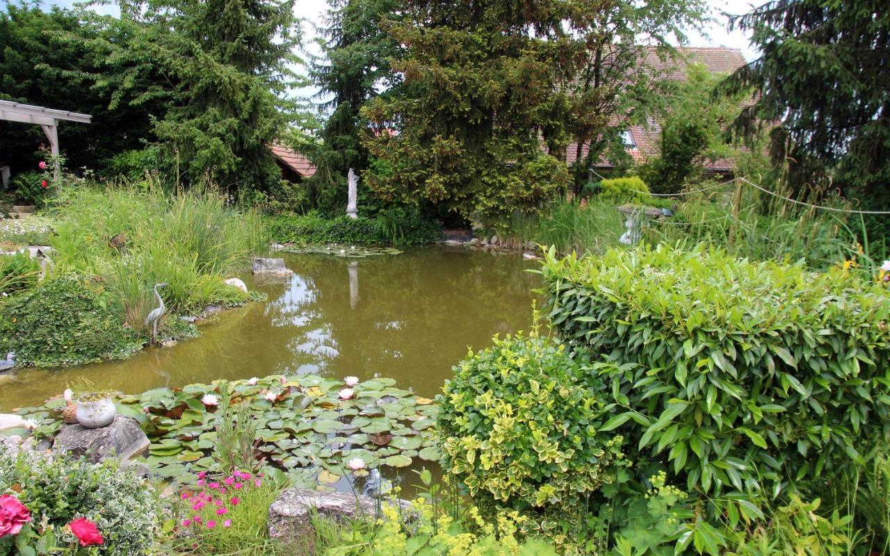 B&B Paradiso Busingen am Hochrhein Bagian luar foto