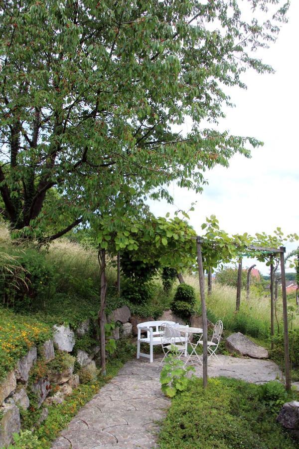 B&B Paradiso Busingen am Hochrhein Bagian luar foto
